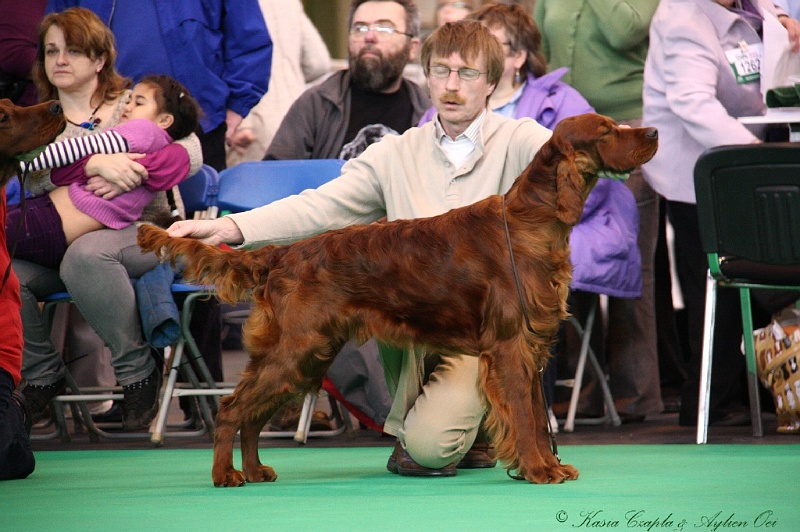 Crufts2011 200.jpg